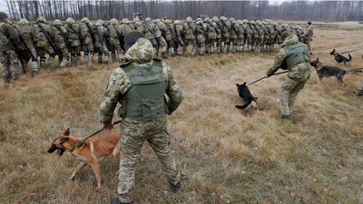 L'Ukraine a déployé 200 soldats supplémentaires à sa frontière avec la Biélorussie. Crédit : Reuters